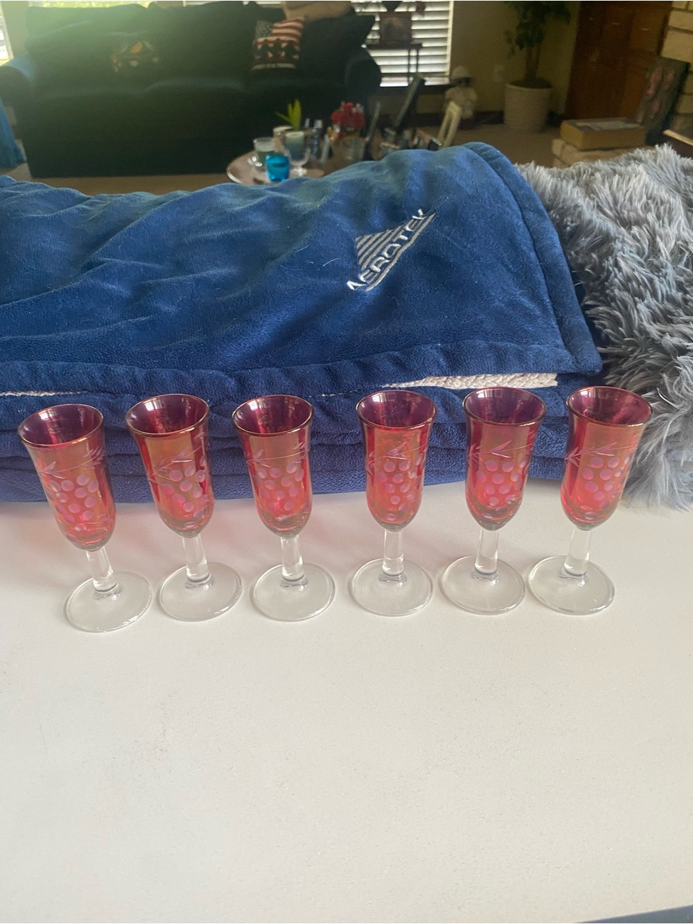 Set of 6 Ruby Red Etched Cordial Glasses